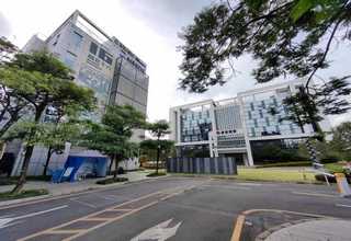 顺德区宠物店除油漆味