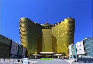 安徽橡胶原料橡胶技术支持